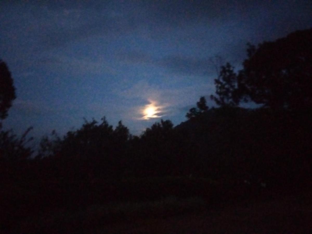 Abiyal Mountain Stay Madikeri Eksteriør bilde