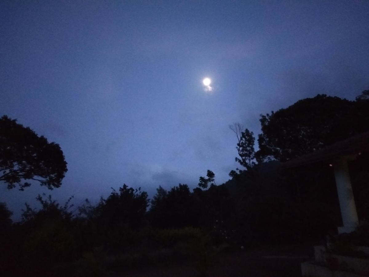Abiyal Mountain Stay Madikeri Eksteriør bilde